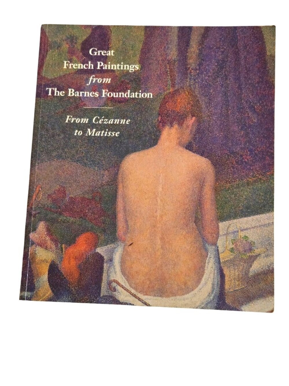 Great French Paintings From The Barnes Foundation From Cézanne To Matisse Coffee
